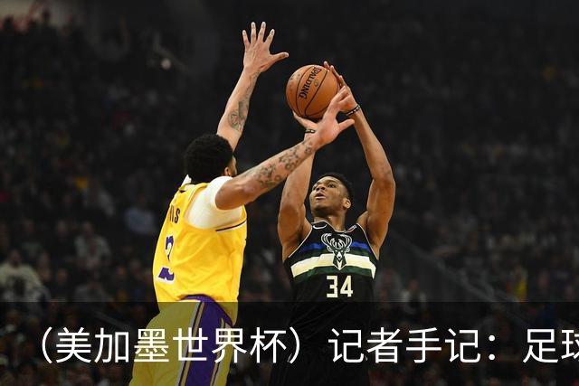 （美加墨世界杯）记者手记：足球世界，规则谁定？